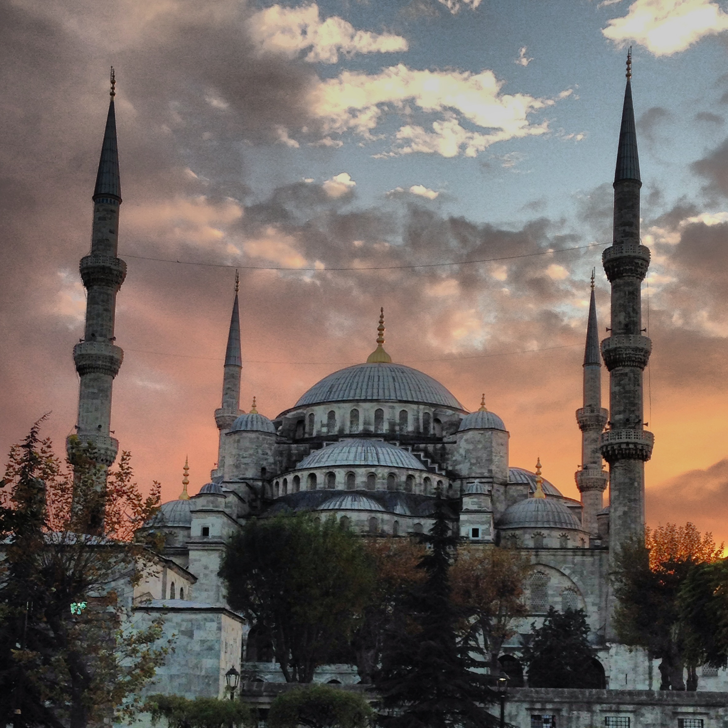 deals-archives-the-bulkhead-seat