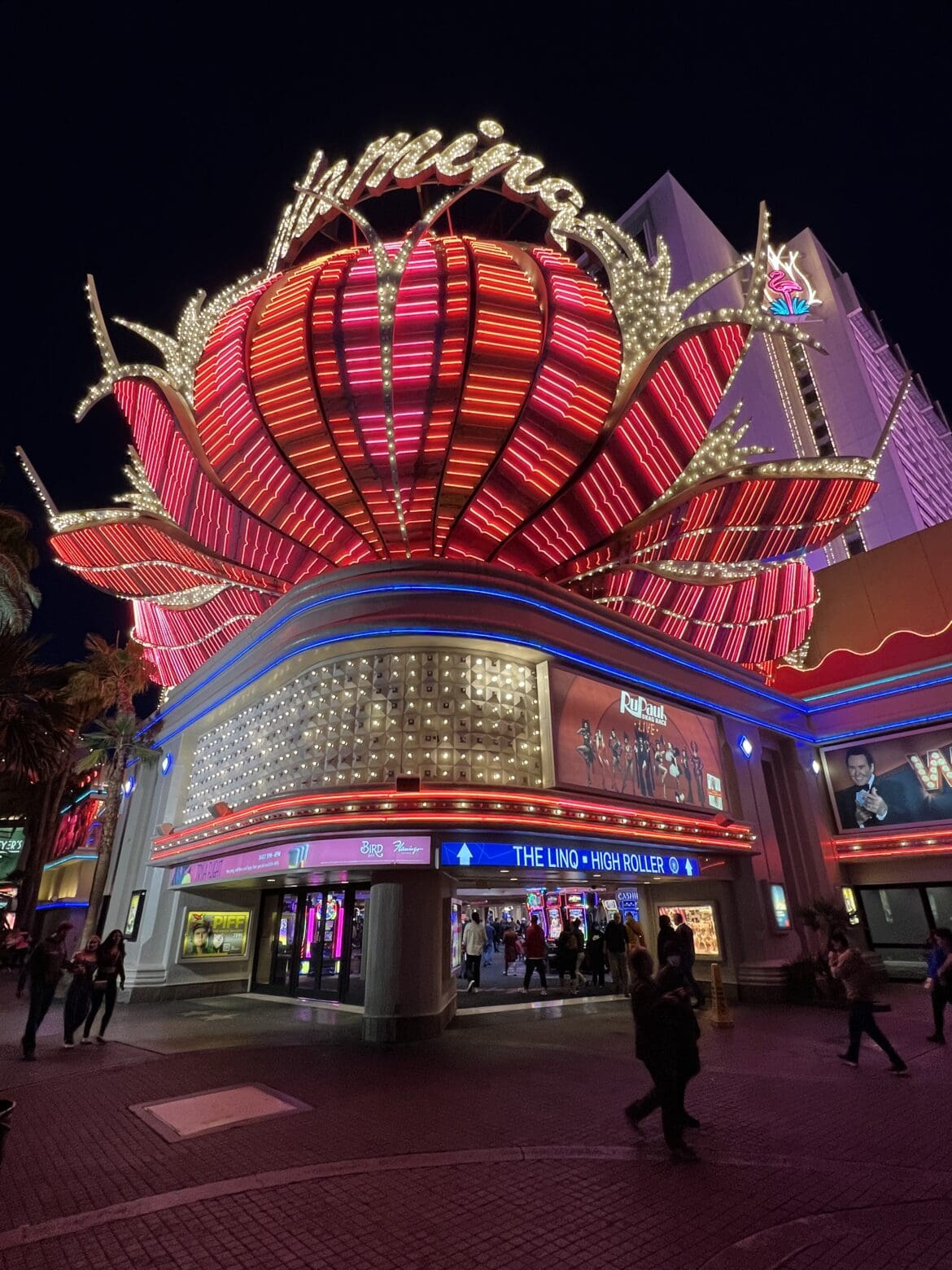 Flamingo Sign Flamingo Sign