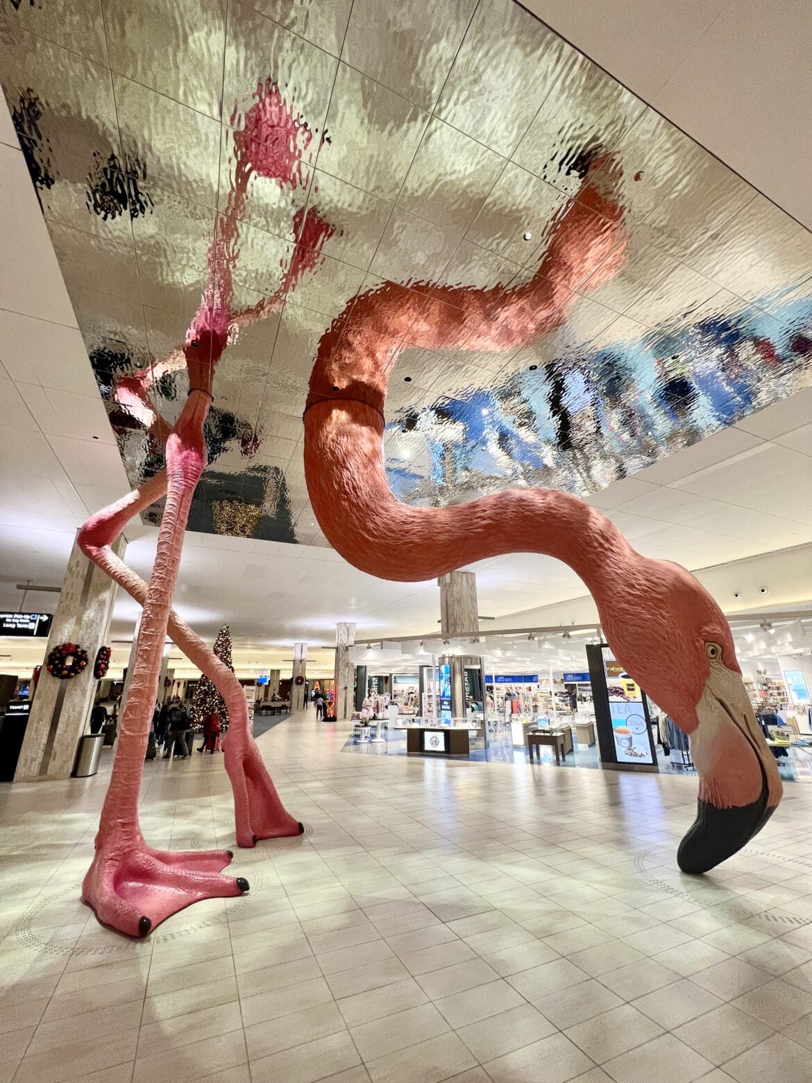 Flamingo TPA Flamingo TPA