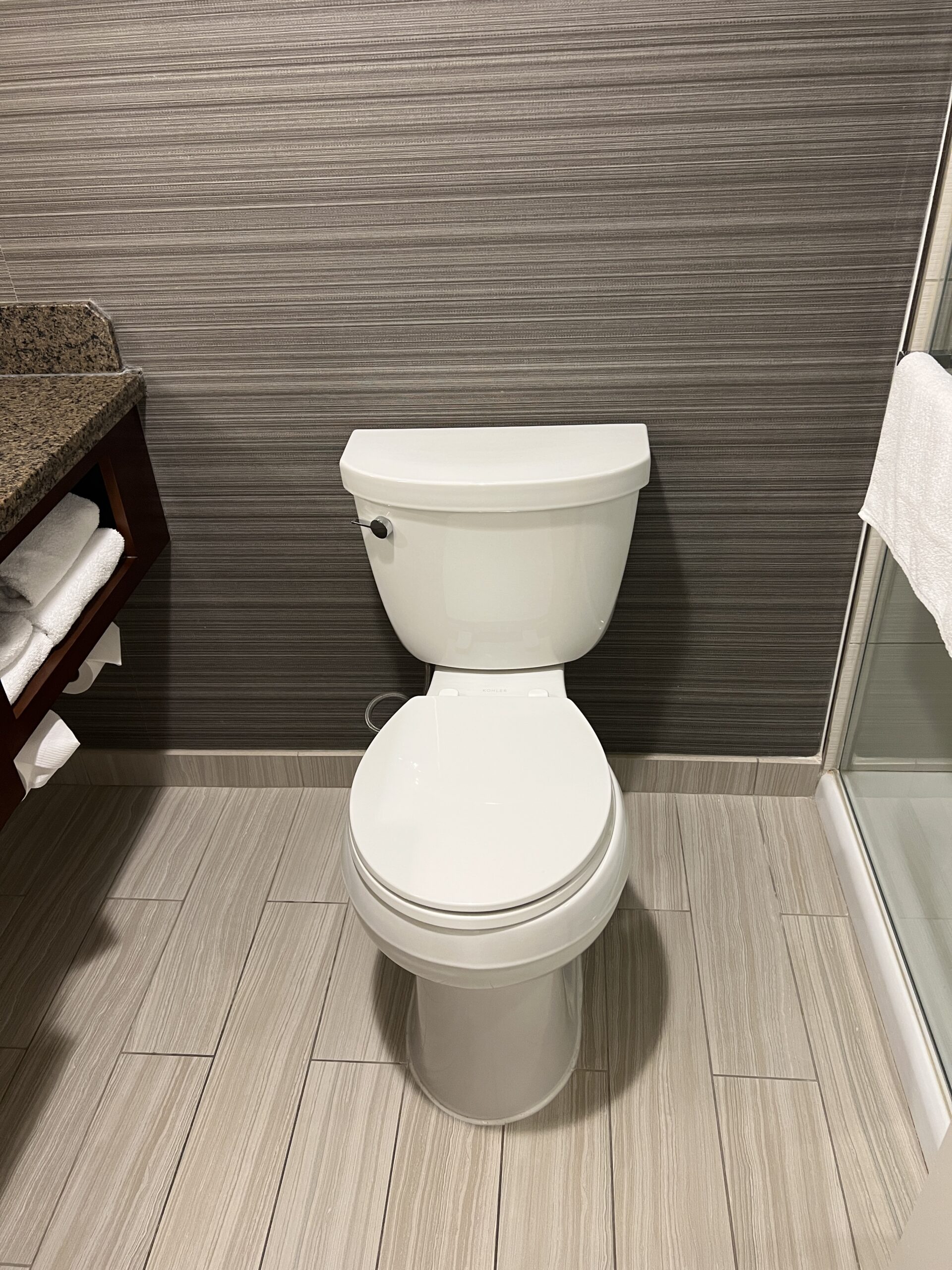 Marriott EWR Toilet