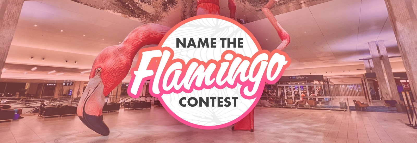 Name the Flamingo