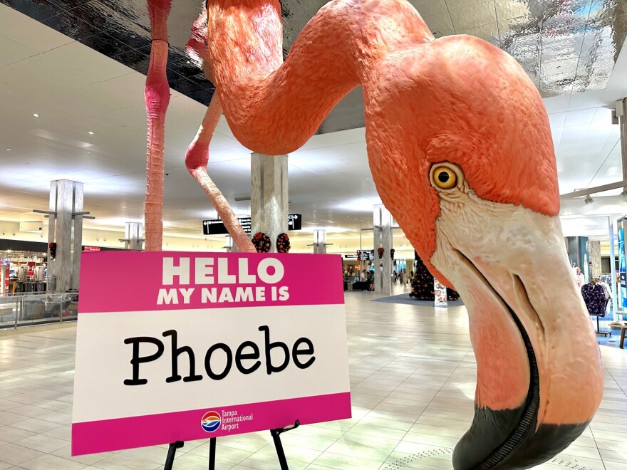 Phoebe flamingo