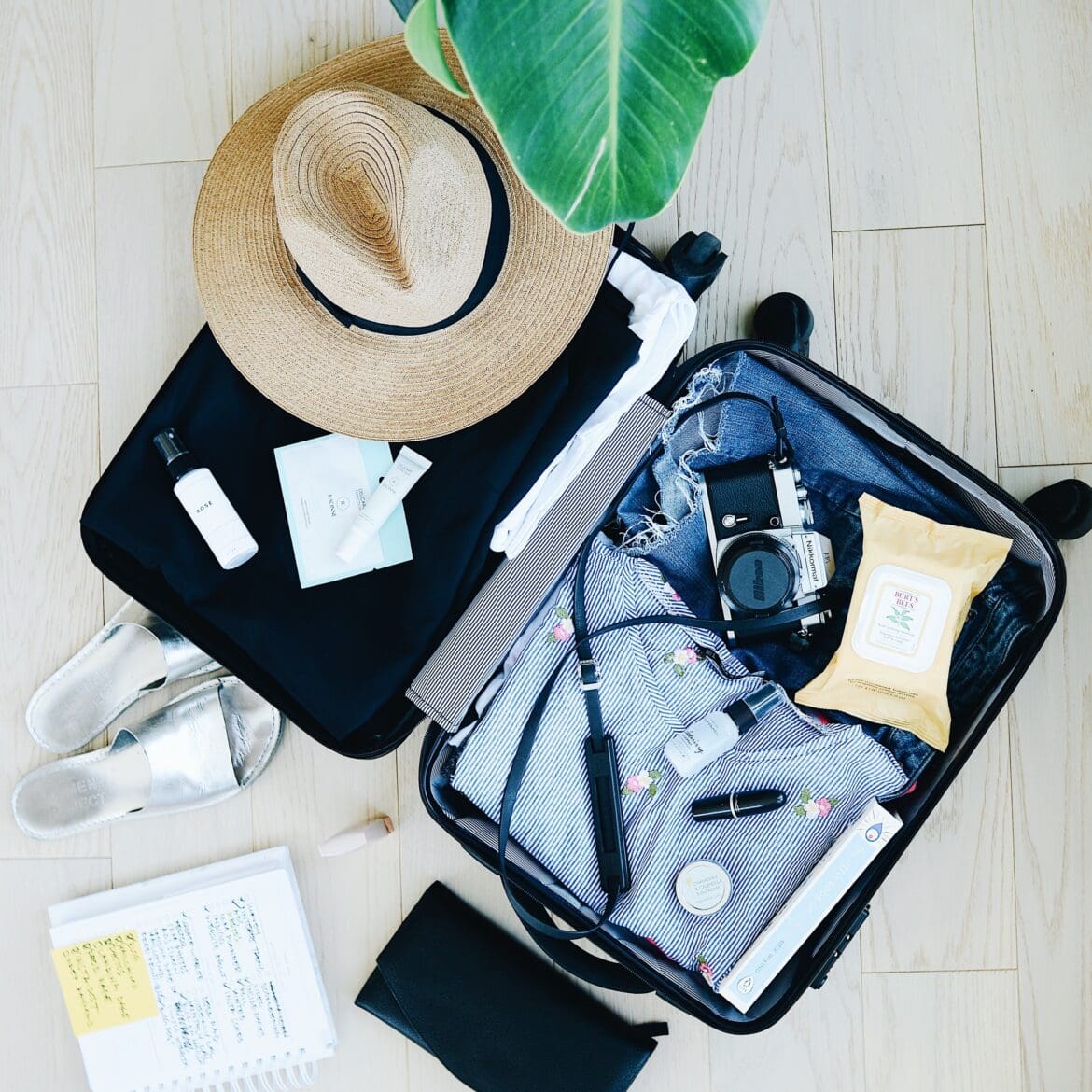 Travel Travel