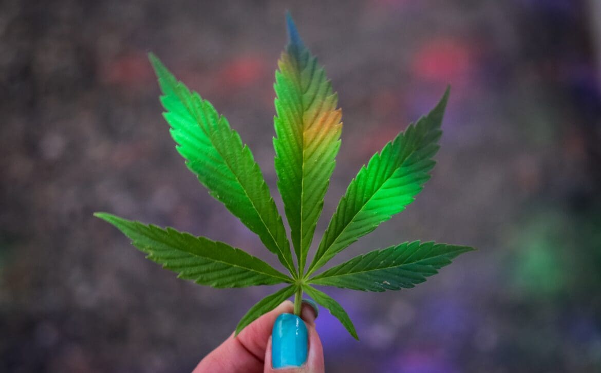 420 Marijuana 420 Marijuana