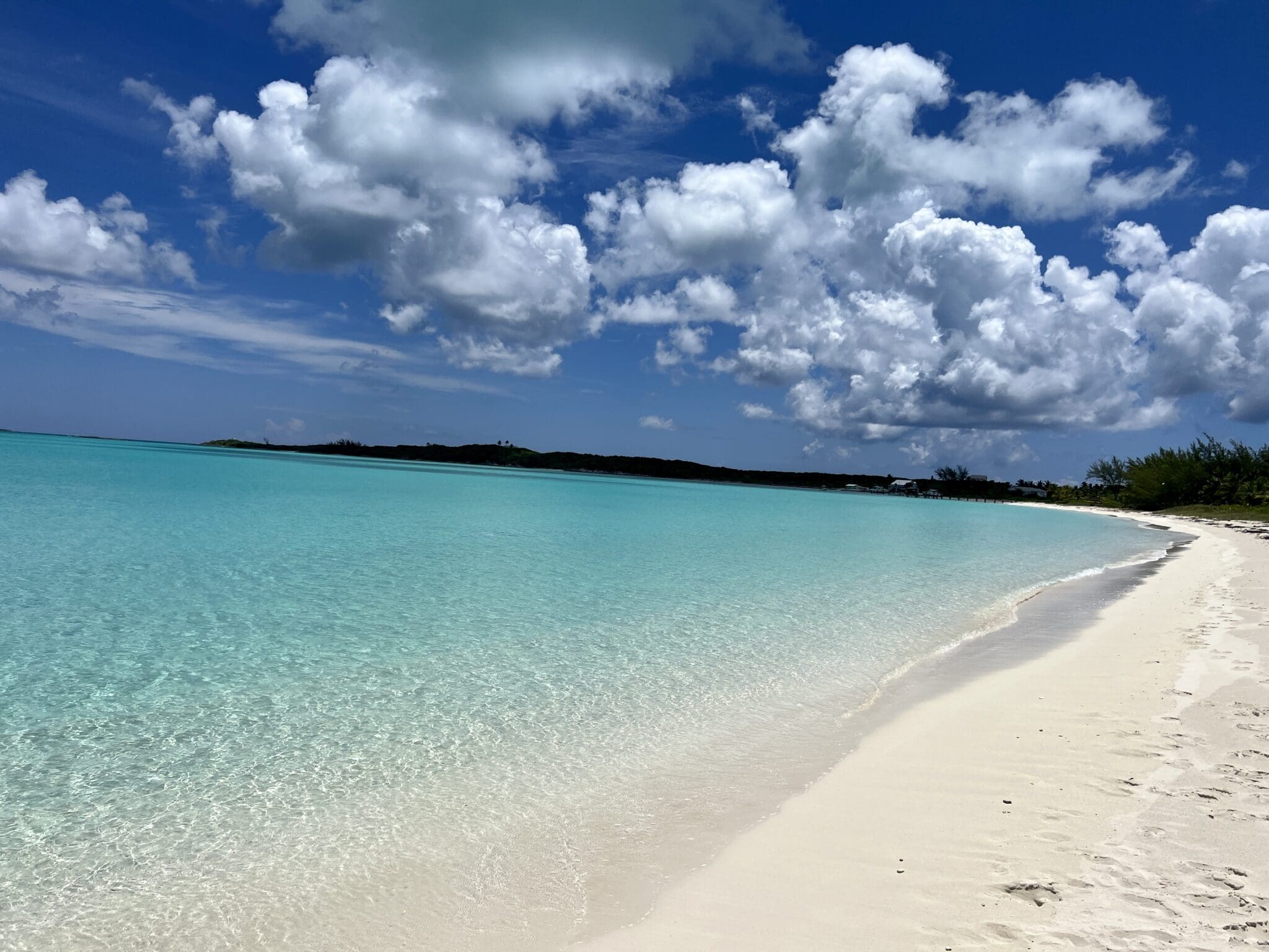 Swimming With Sea Turtles in Great Exuma The Bulkhead Seat