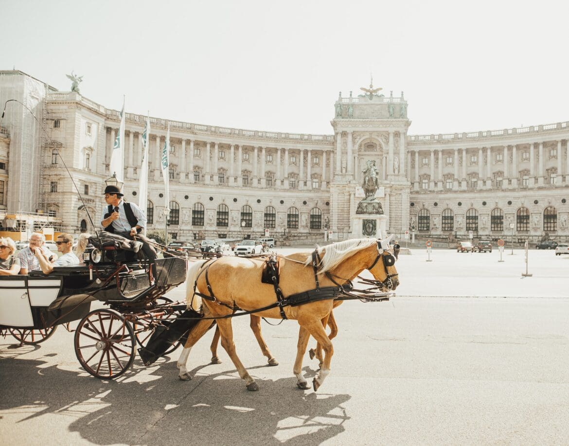 Vienna Vienna