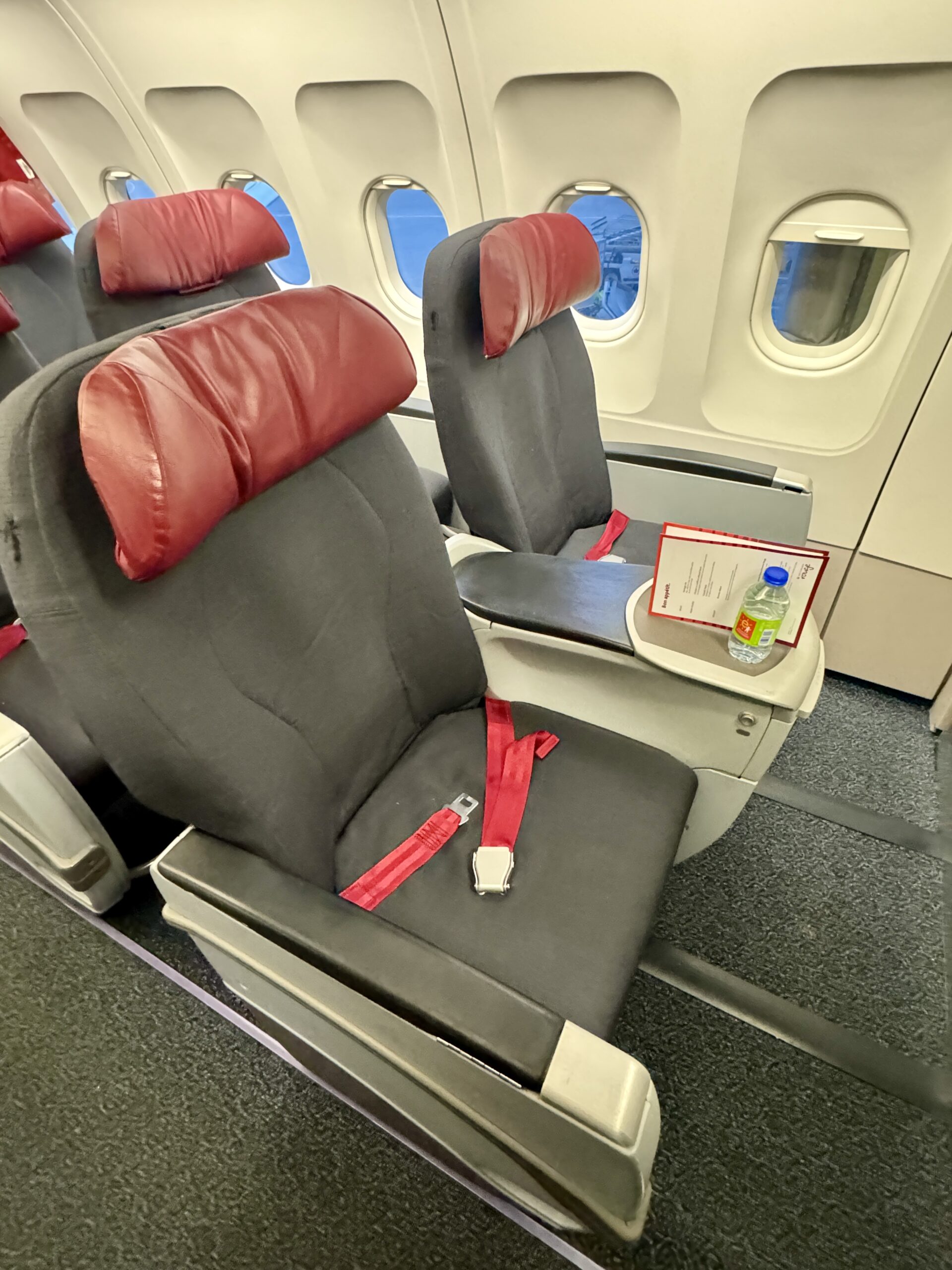 Air Canada Rouge Seat
