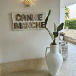 Canne Bianche