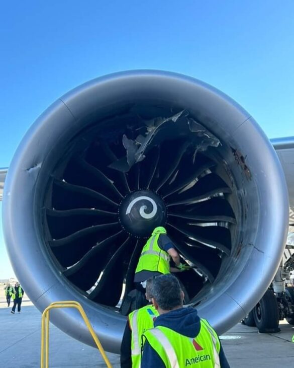 American Airlines Boeing 7879 Engine Accidentally Ingests Cargo