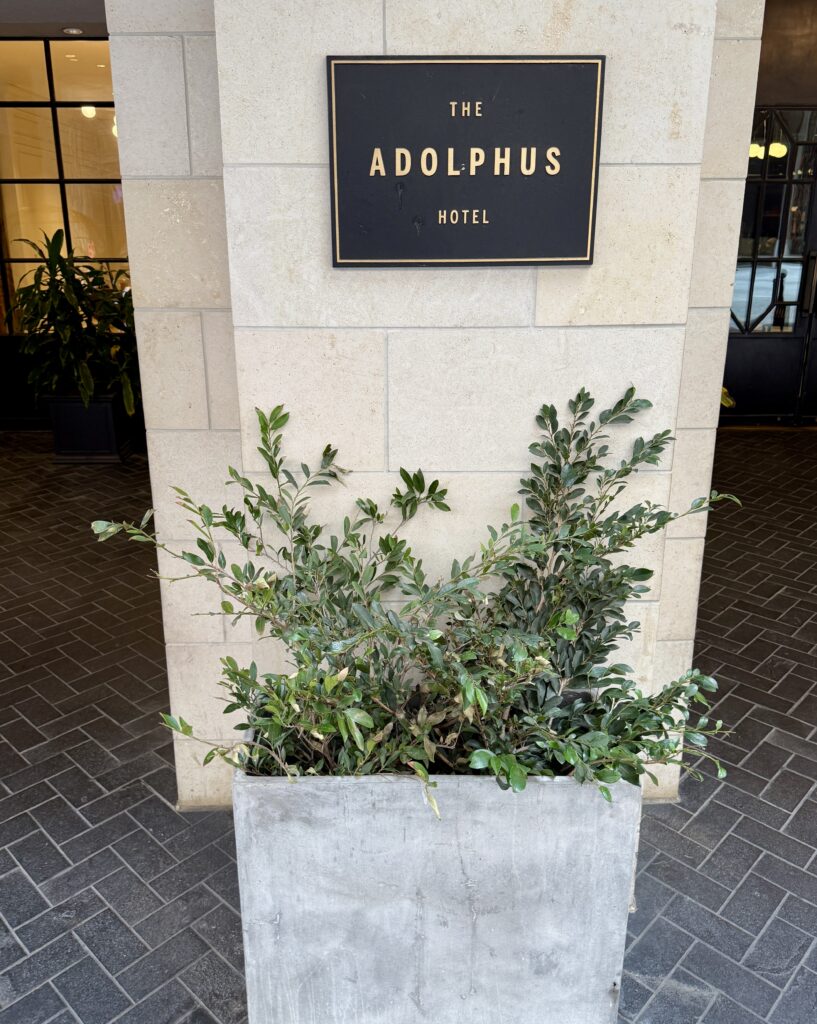 Adolphus 2