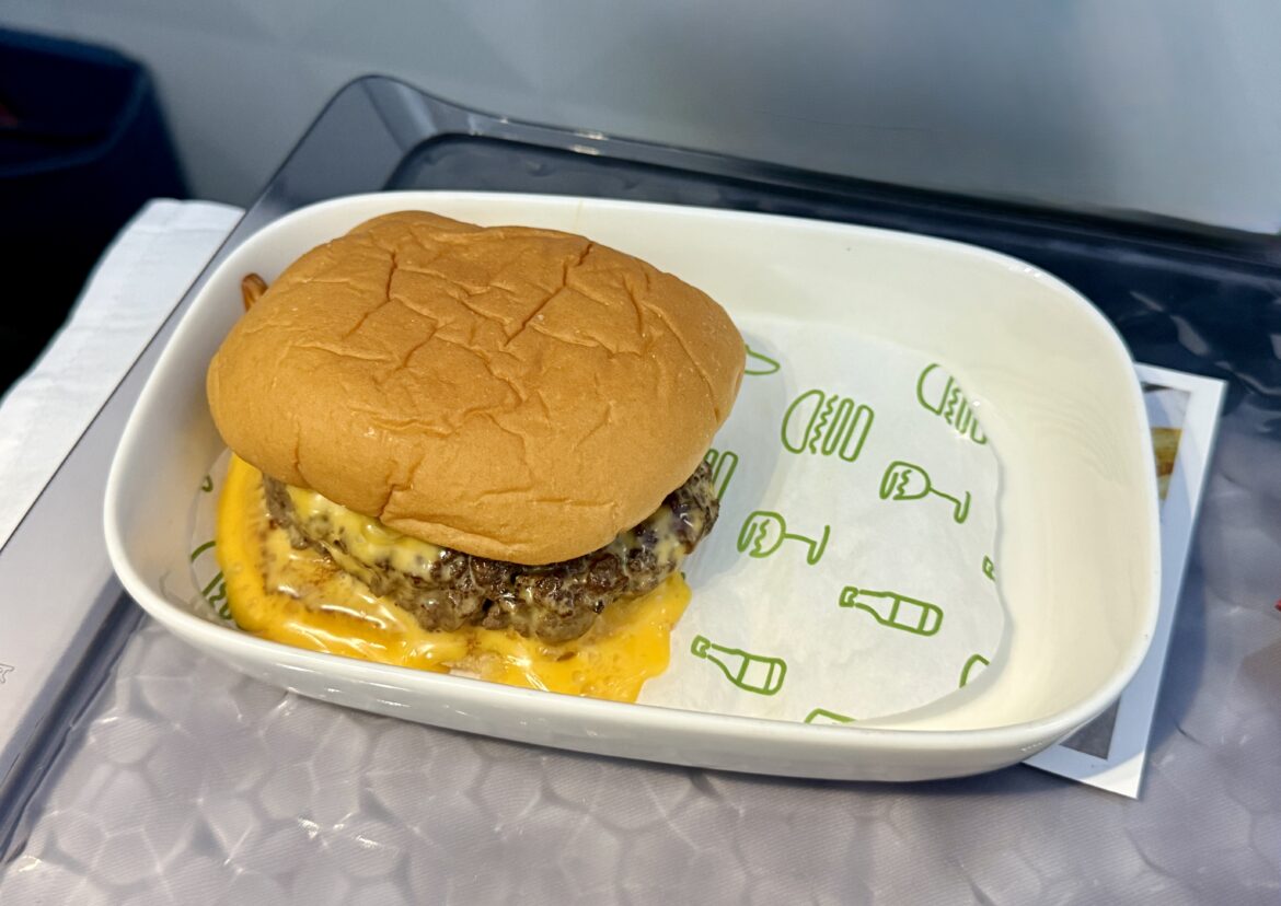Delta Shake Shack Burger 2