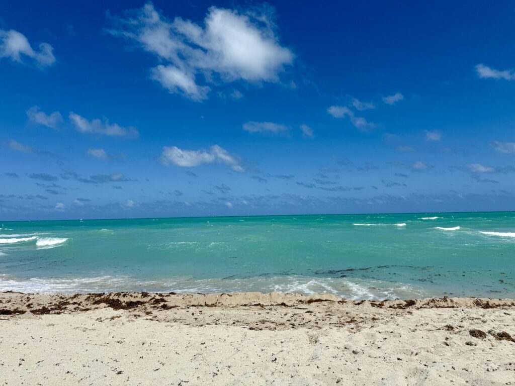 St. Regis Bal Harbour 7