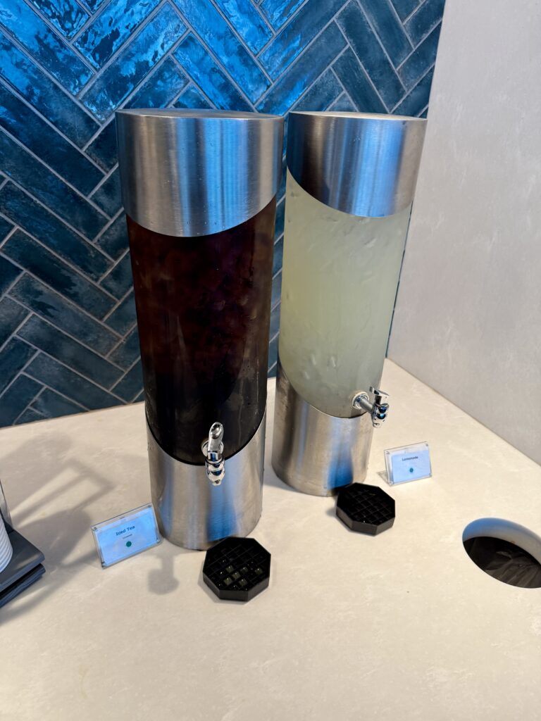 Delta Sky Club ATL D18 9