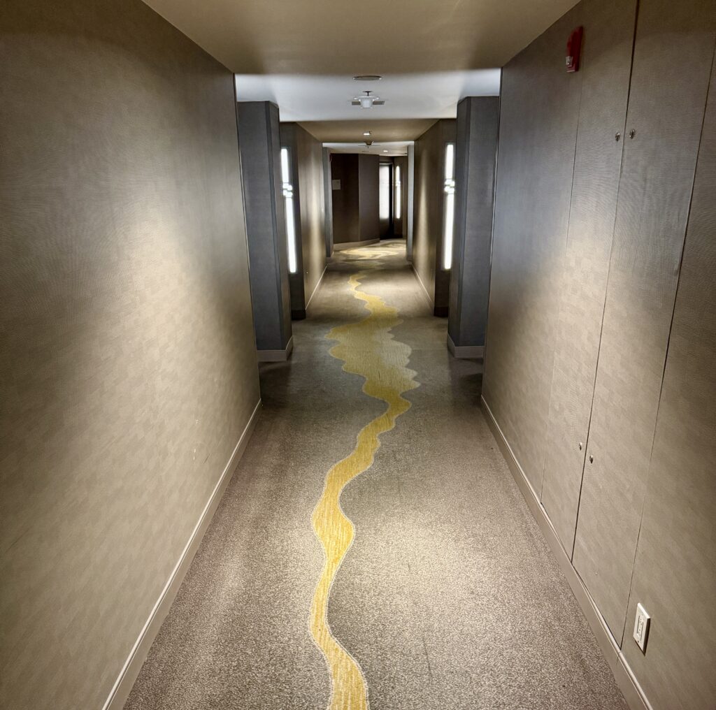 Hyatt Regency Dallas 10