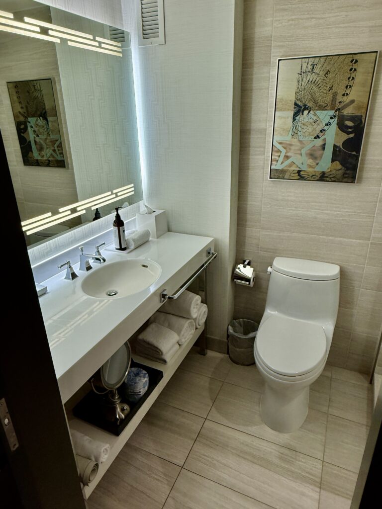 Hyatt Regency Dallas 15