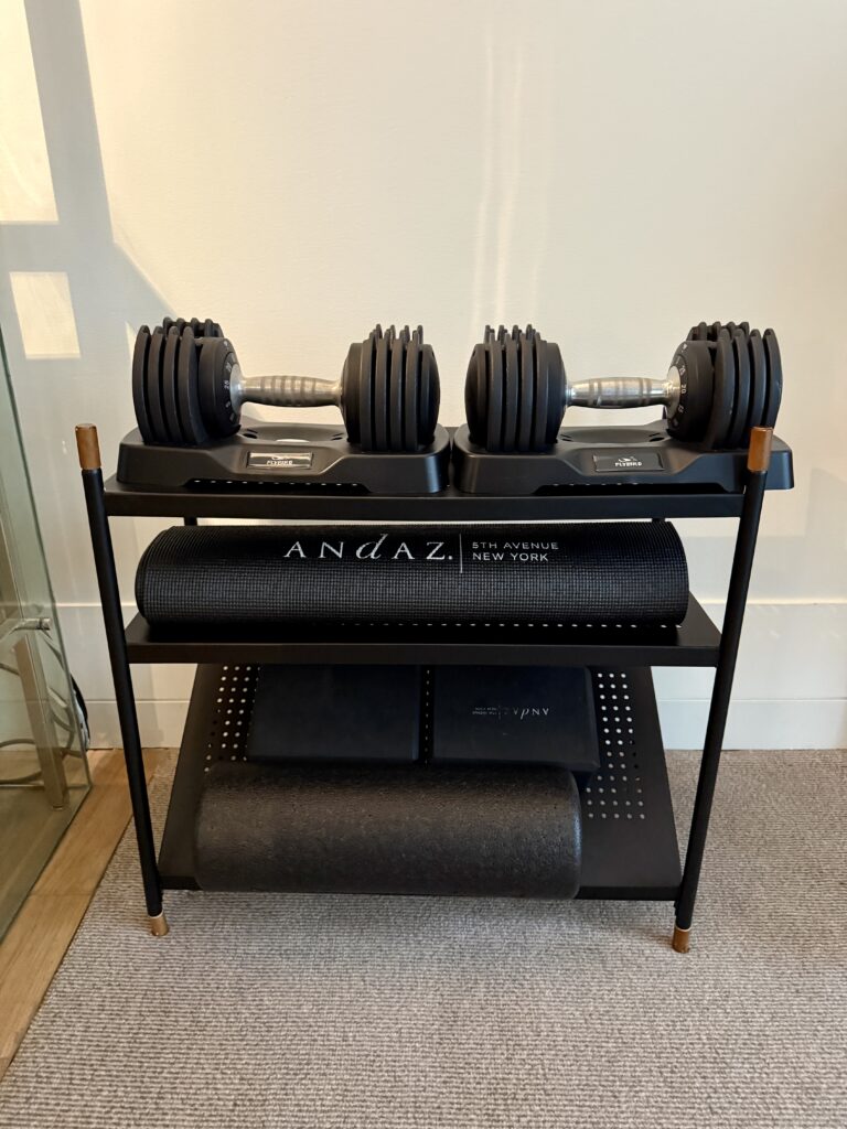 Andaz 5th Avenue 16