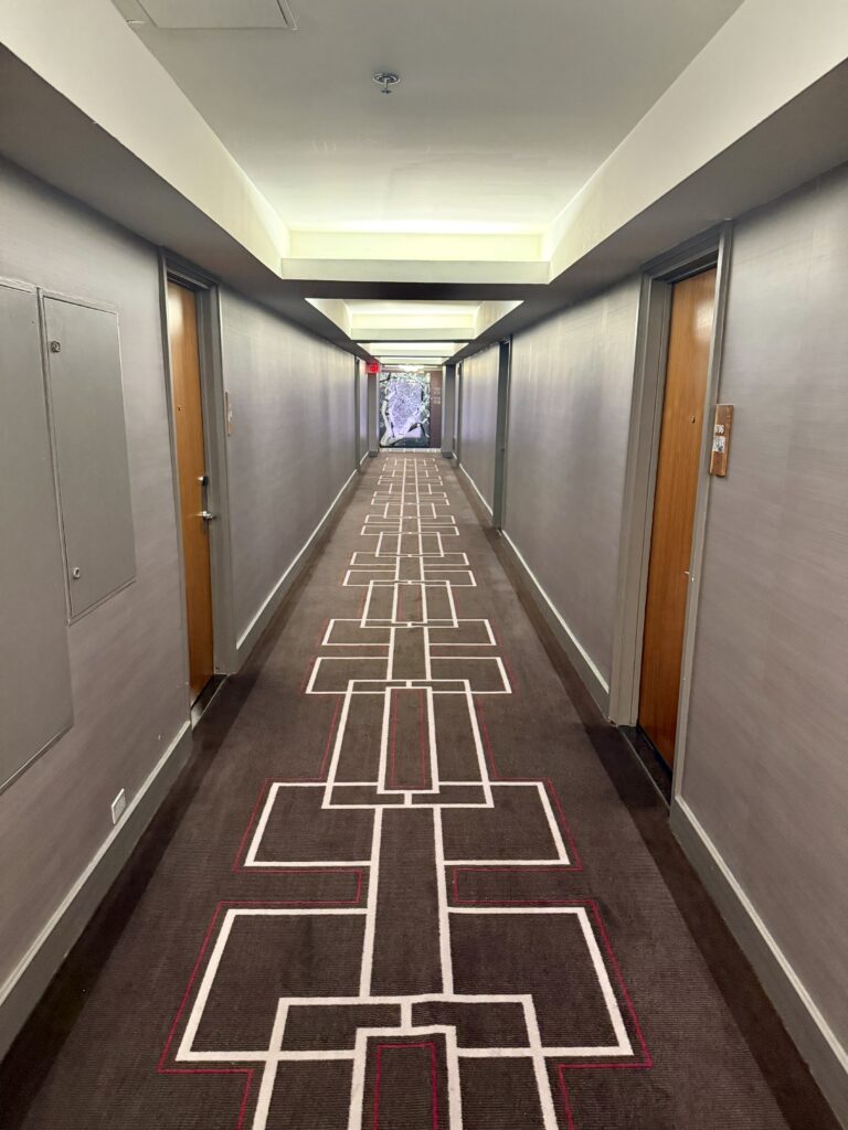 Hyatt Grand Central 9