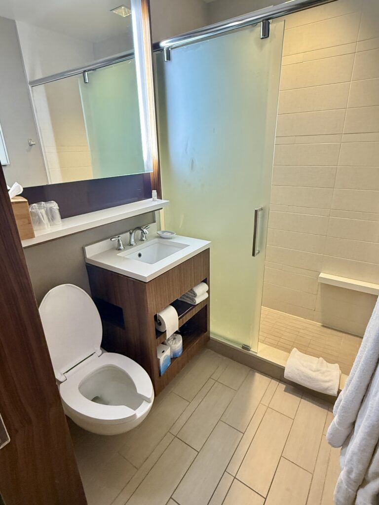 Hyatt Grand Central 22