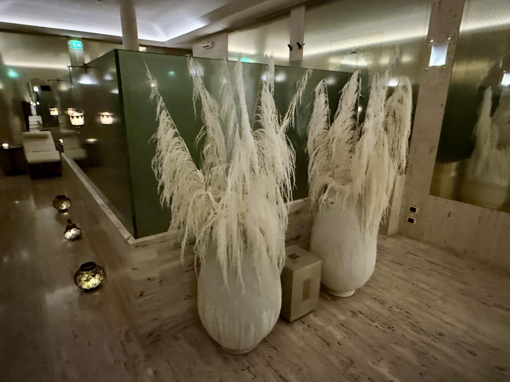 Park Hyatt Milan 59