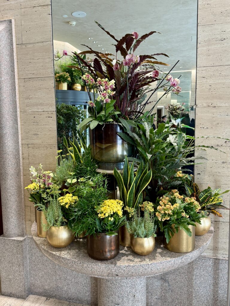 Park Hyatt Milan 5