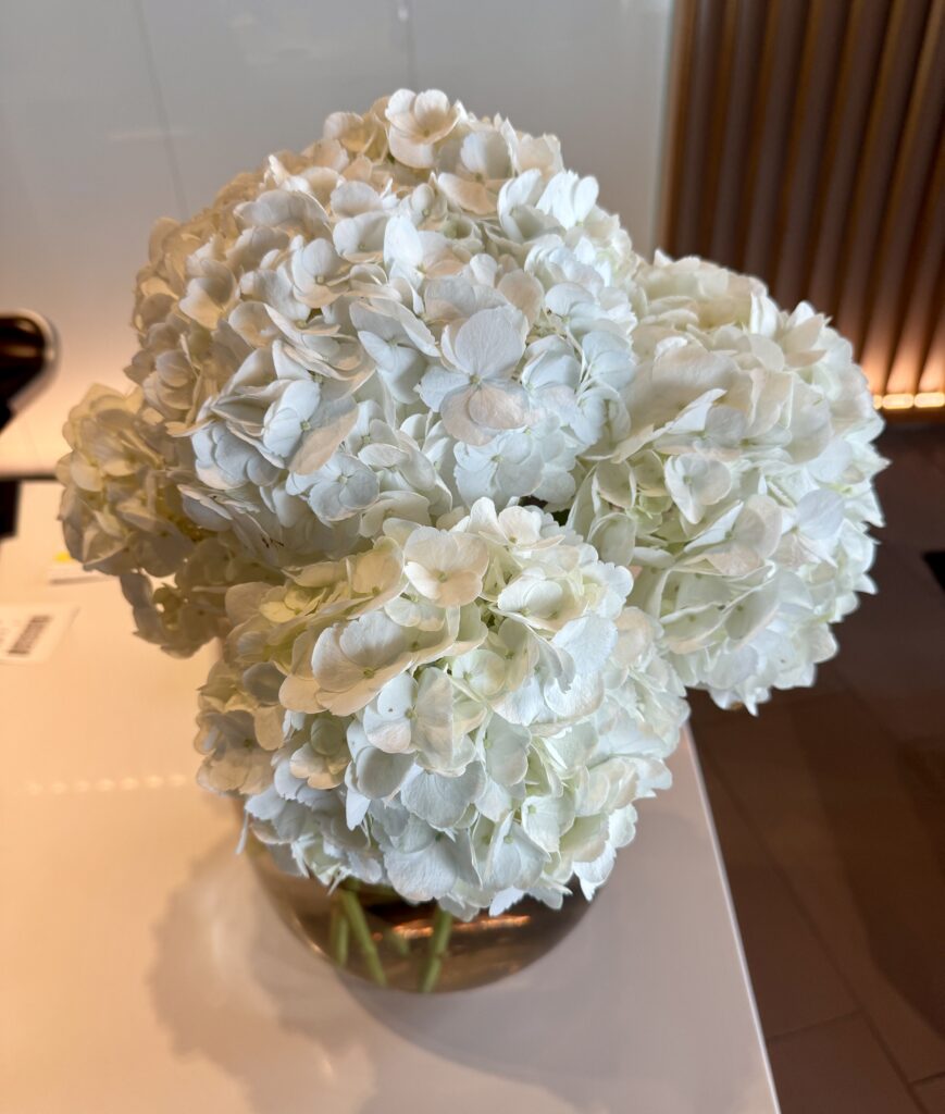 LH First Lounge MUC 31