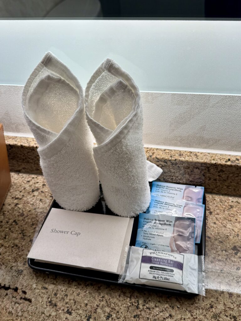 Hyatt Regency Cambridge 35