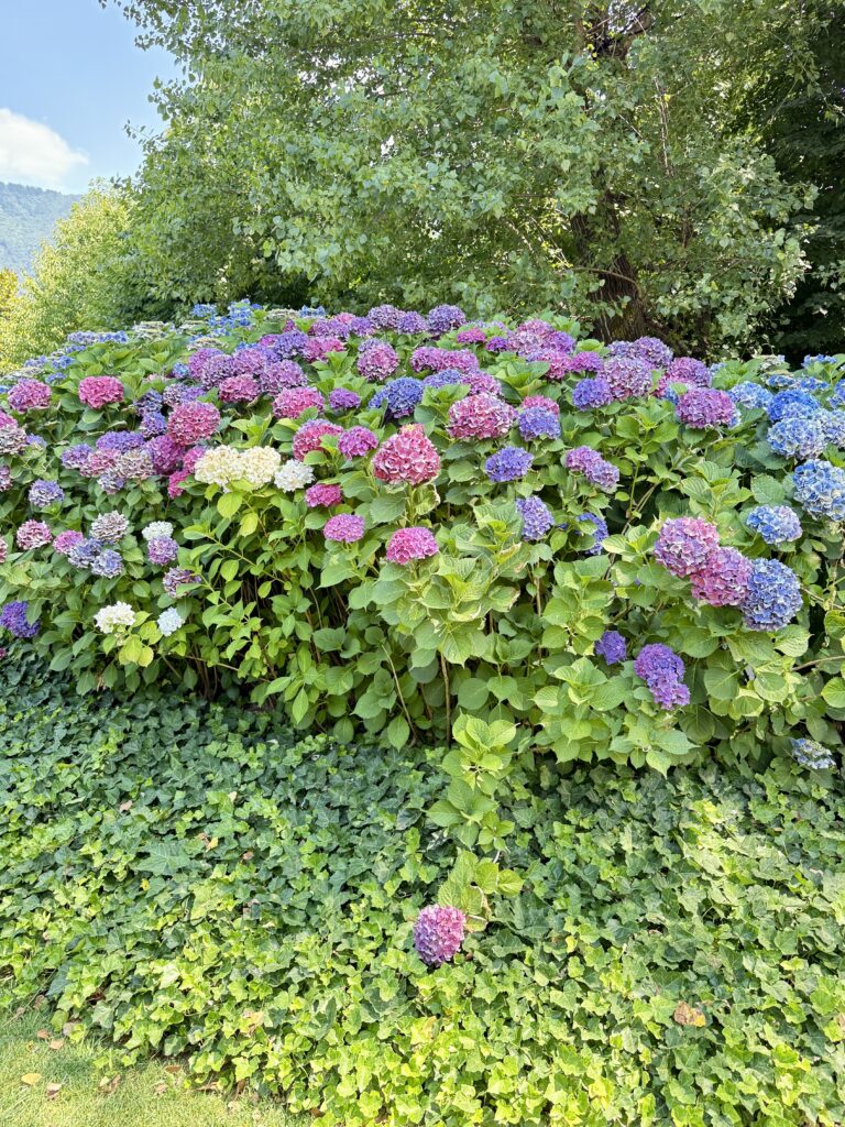 Sheraton Lake Como Hotel 70