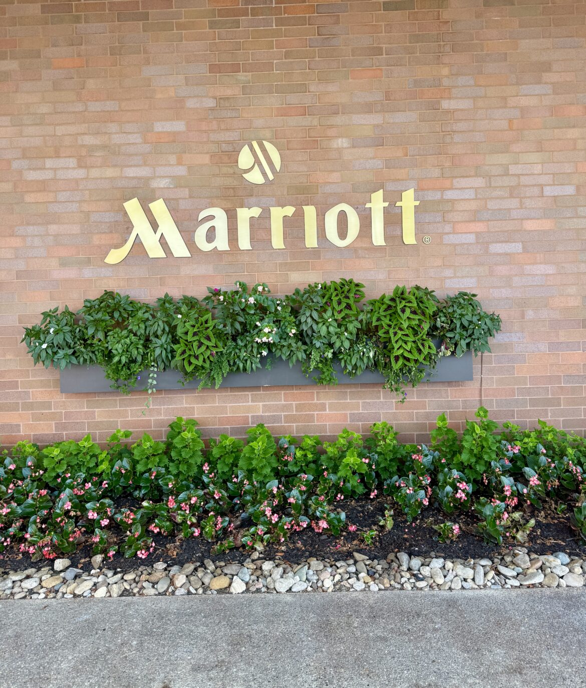 Marriott Cincinnati Northeast 1