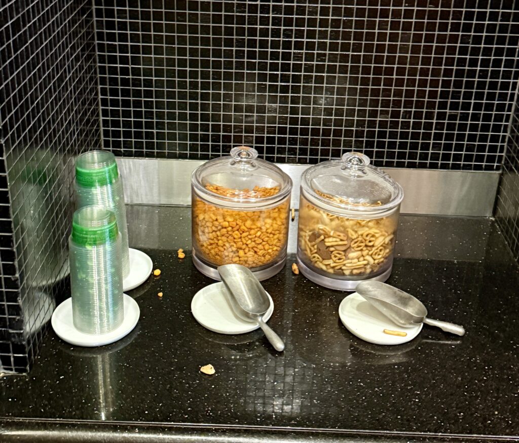 Delta Sky Club DTW C 24