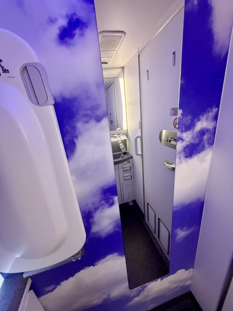 AA ORD to DFW 29