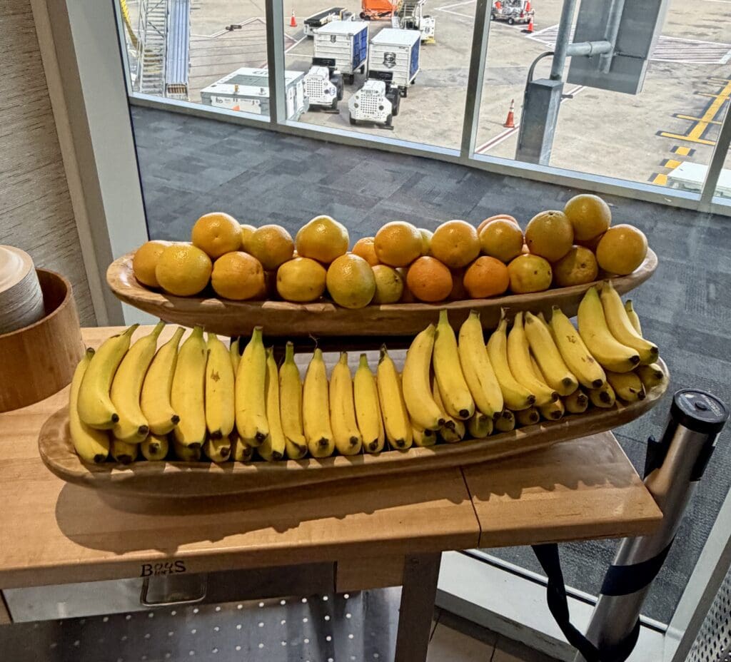 Delta Sky Club DFW 17