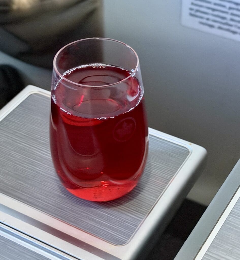 Air Canada TPA to YYZ 10