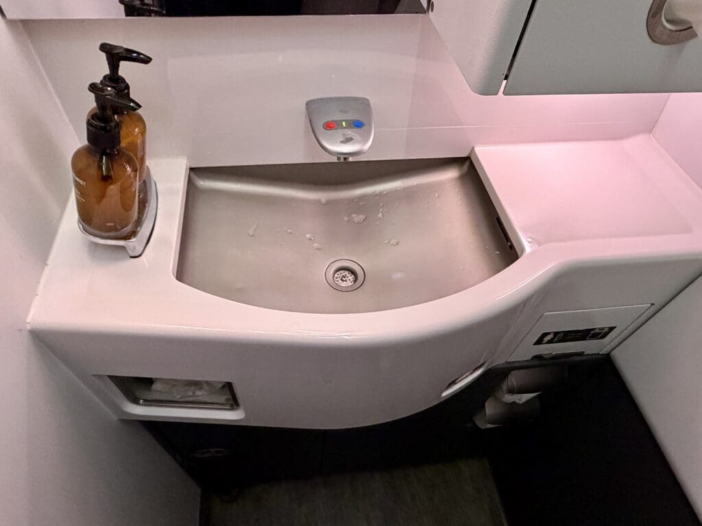 Delta One SFO-JFK 27