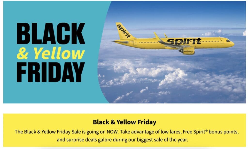 Spirit Black and Yellow