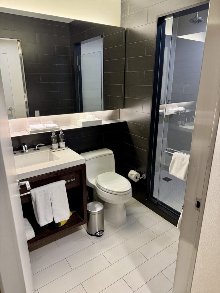 Hyatt Centric Times Square 10