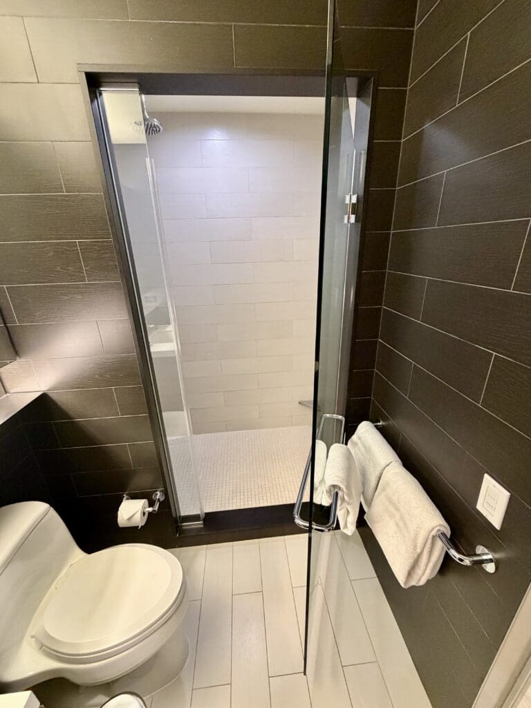 Hyatt Centric Times Square 14