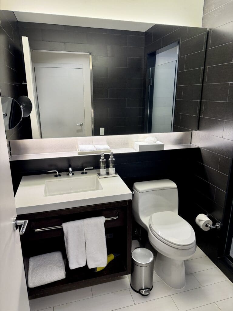 Hyatt Centric Times Square 11