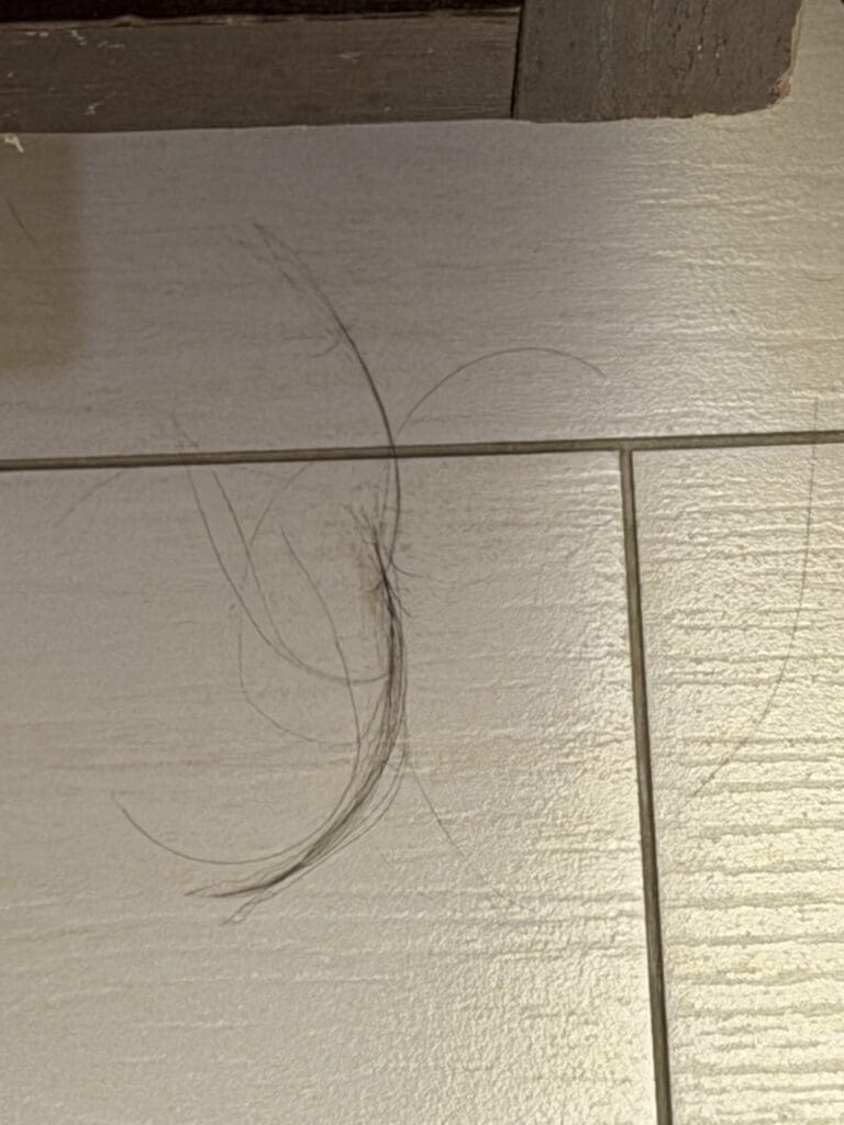 Hyatt Centric Times Square 16