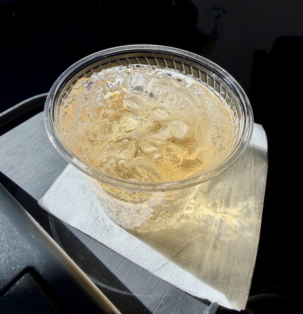 Breeze Airways TPA to PNS 8