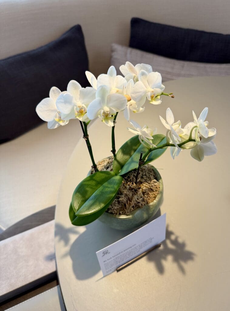 St Regis Hong Kong 48