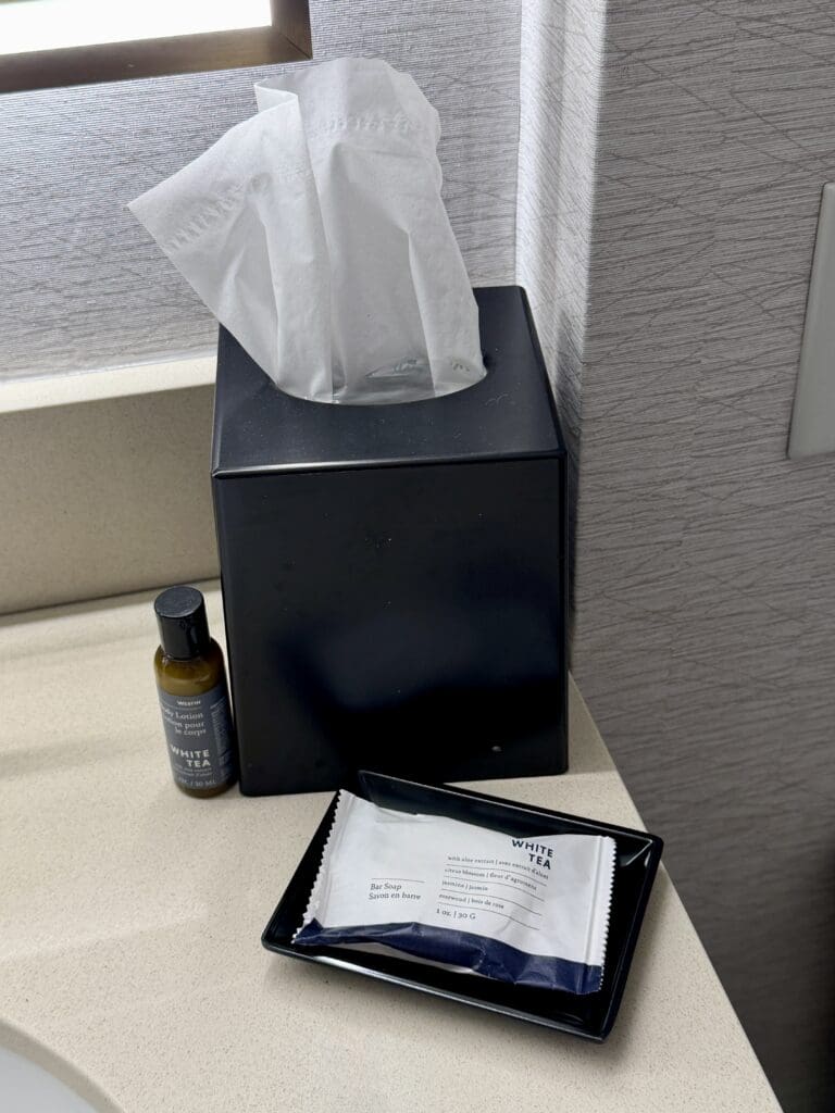 Westin Atlanta Perimeter North 12