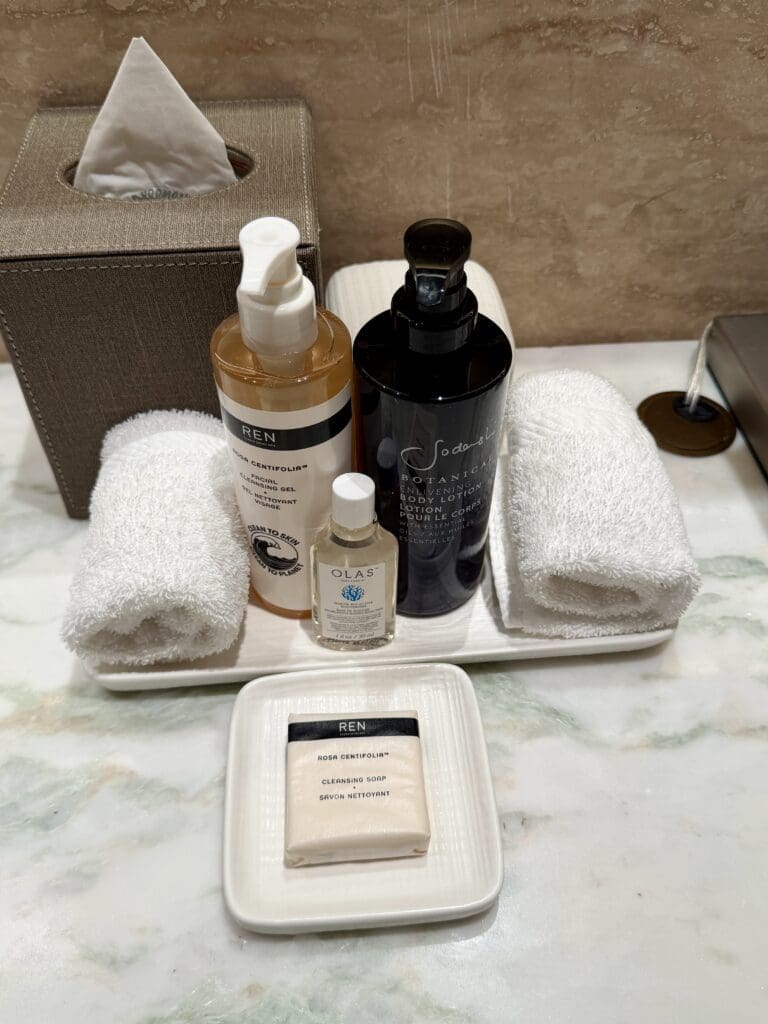 St Regis Cap Cana 26