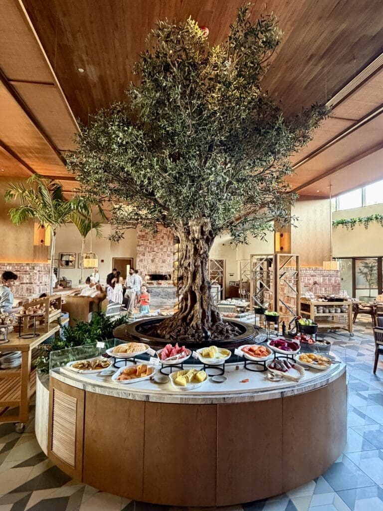 St Regis Cap Cana 60