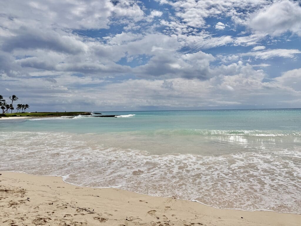 St Regis Cap Cana 117