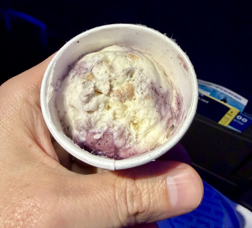 Coq Au Vin Taste Test United Airline 6