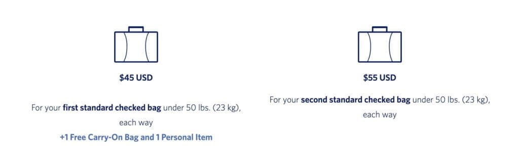 Delta Baggage