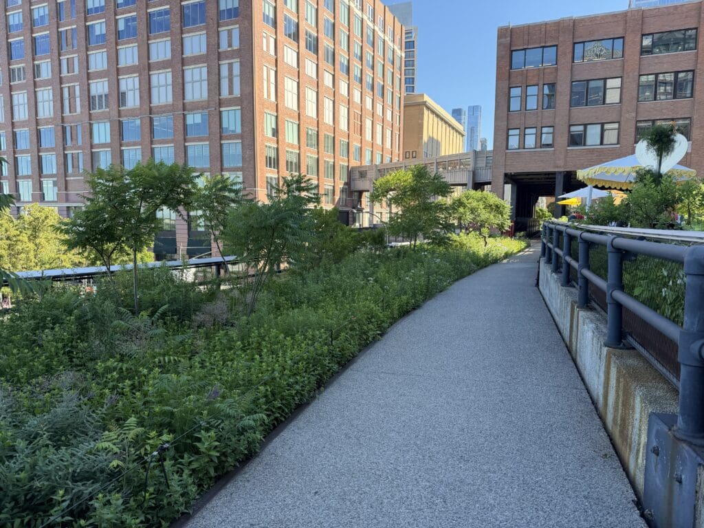 Standard High Line 26