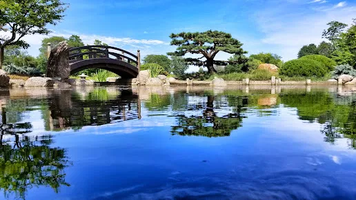 Osaka Chicago