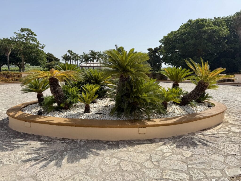Almar Giardino 73