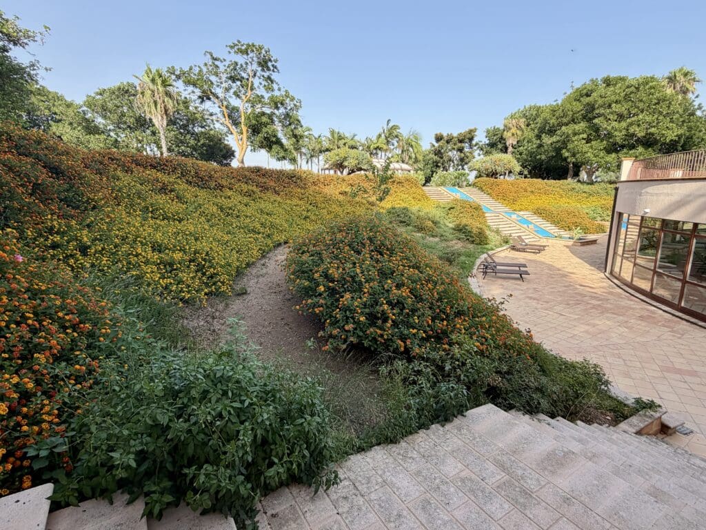 Almar Giardino 6